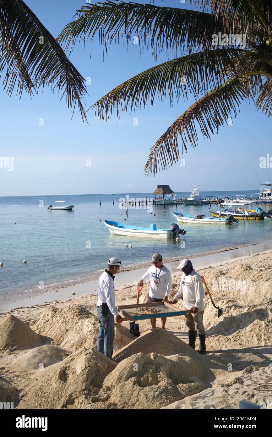 Blue Flag Arbeiter reinigen den Strand Sand in Puerto Morelos Yucatan Mexiko Stockfoto
