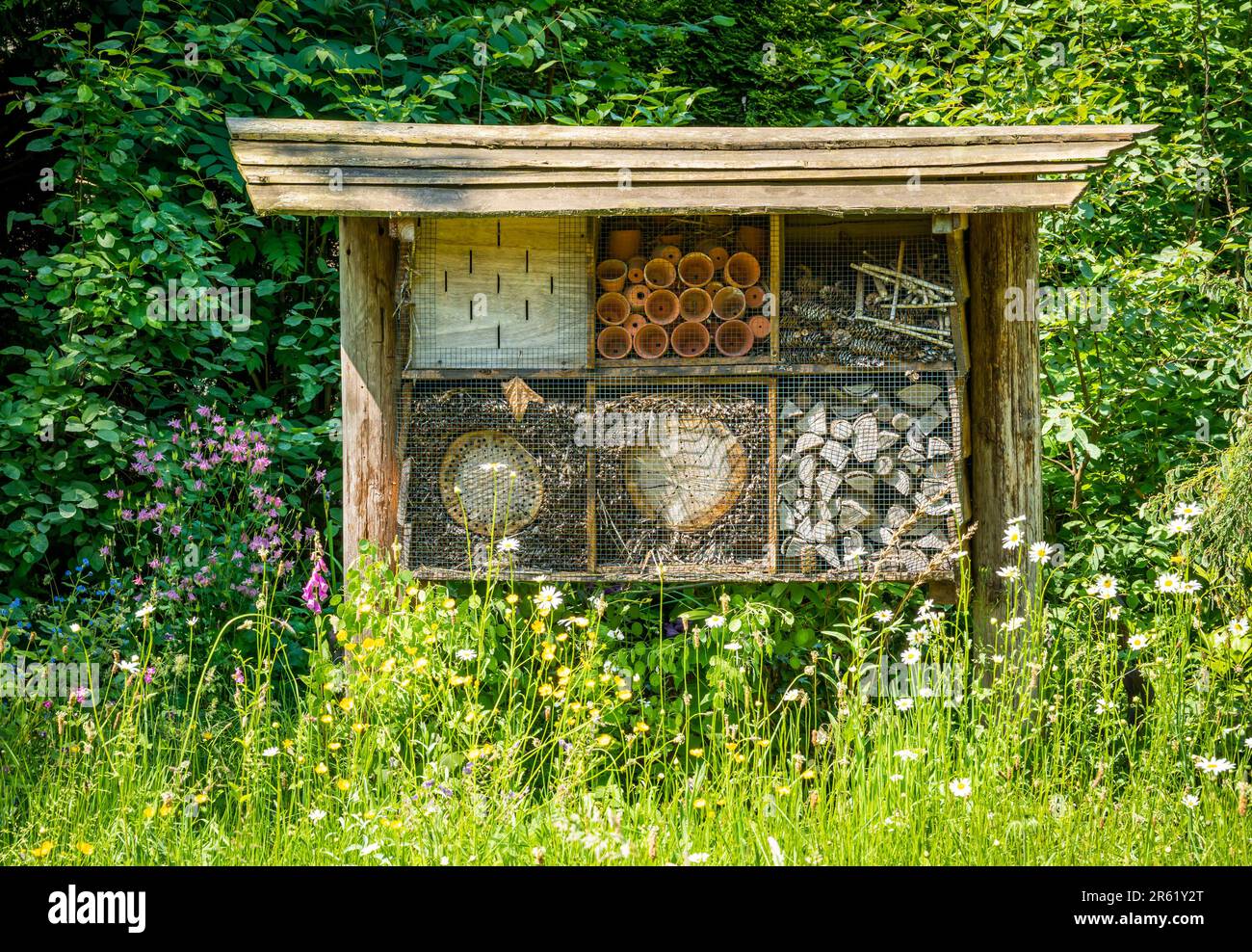 Holzinsektenhotel in der Frühlingswiese, ein Insektenhaus in einem Blumenfeld Stockfoto