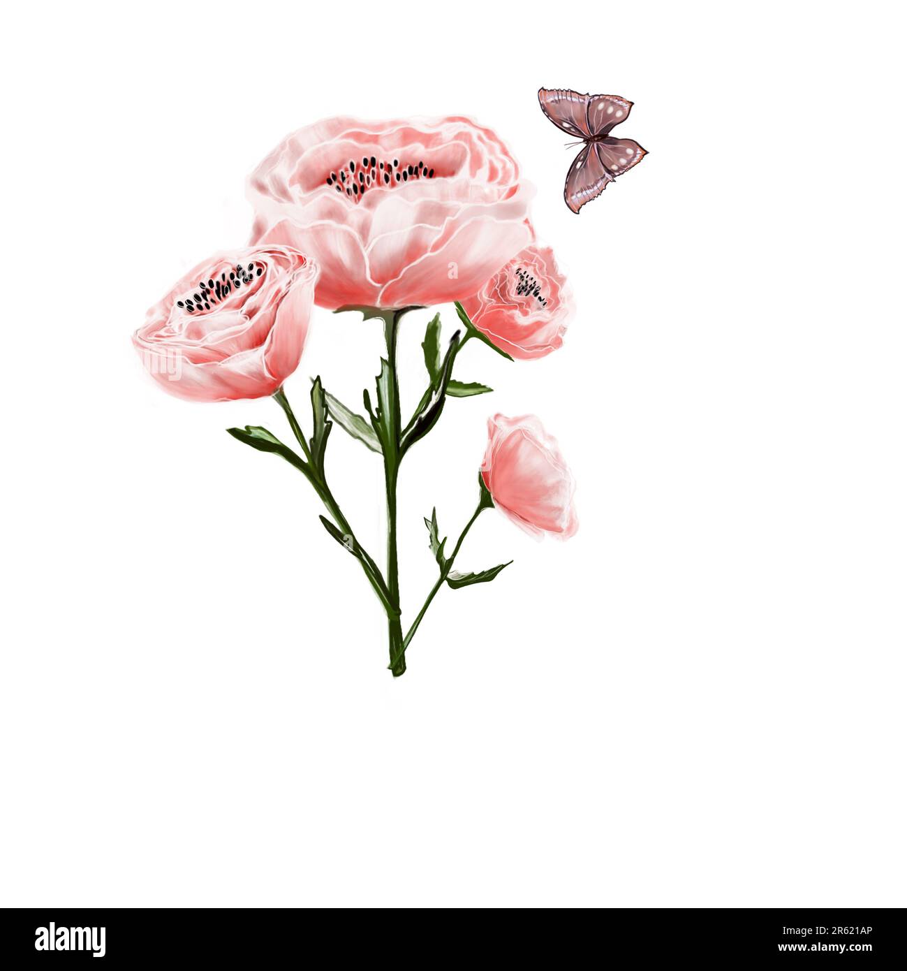 Rosa Blumen, Mohn, Rosen, mit einem feinen Schmetterling von detaillierter Aquarellfarbe, handgemalte Wildblumen auf weißem Hintergrund. Frühlings- und Sommerblumen Stockfoto