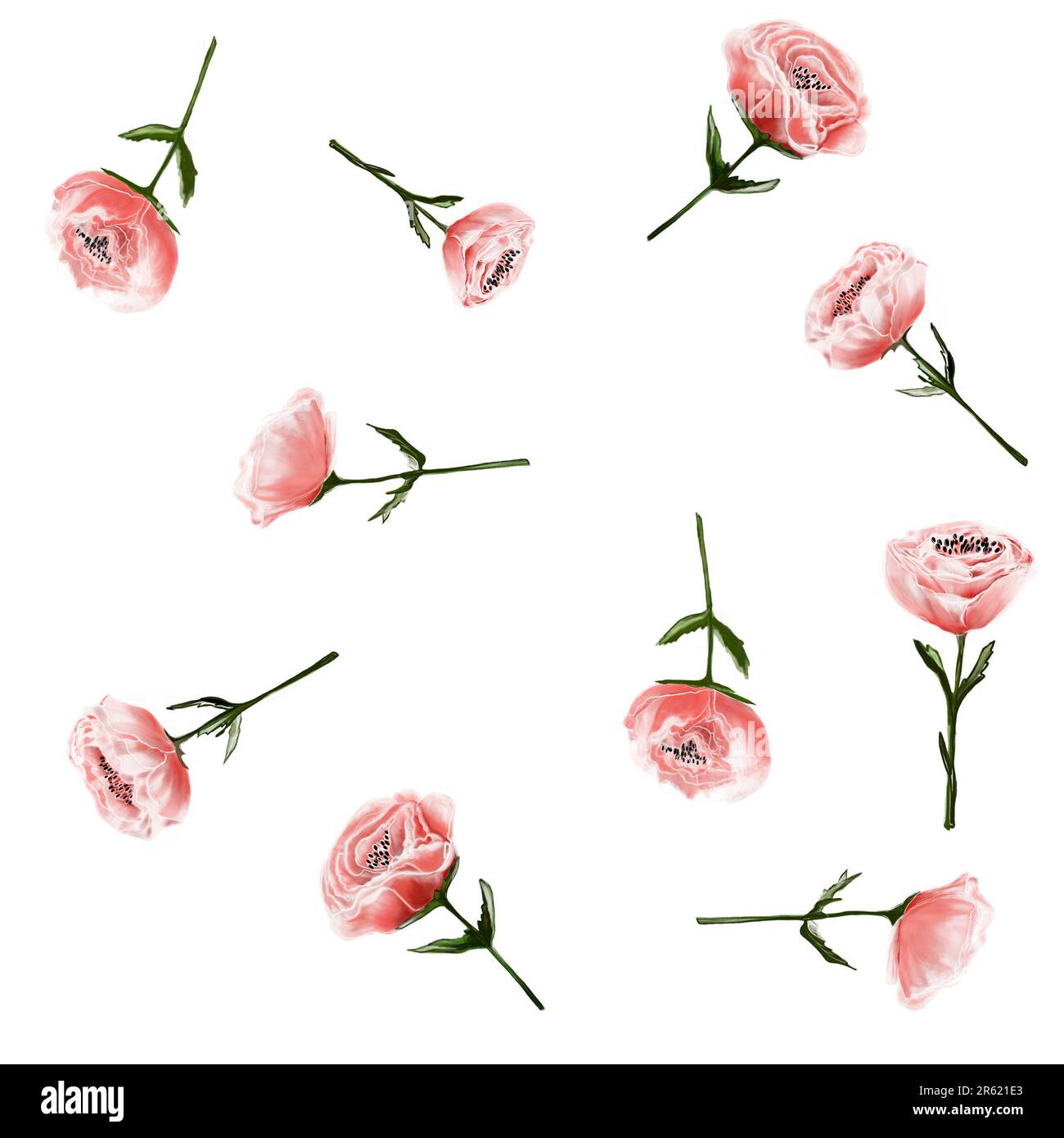 Pink-Blumen, Mohn, Rosen, zarte Aquarelle, handgemalte Wildblumen auf weißem Hintergrund. Frühling und Sommer blühende Pflanzen Stockfoto