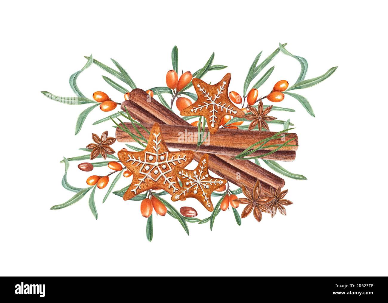 Aquarell traditionelle weihnachtliche Lebkuchen-Kekse in Sternform mit Sanddornzweig, Zimtstangen und Sternanis isoliert auf weiß Stockfoto