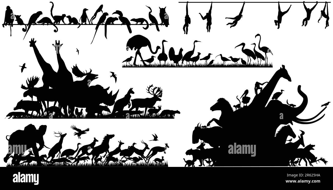 Satz bearbeitbarer Vektortierkategorien, wobei jedes Tier als separates Objekt dargestellt wird Stock Vektor