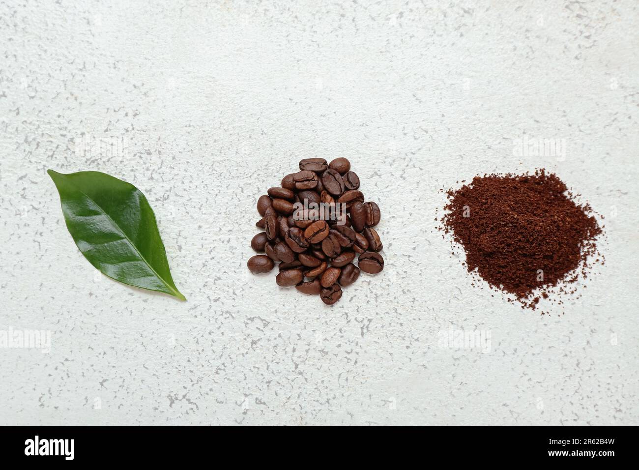 Blätter, Kaffeebohnen und Pulver auf hellem Hintergrund Stockfoto