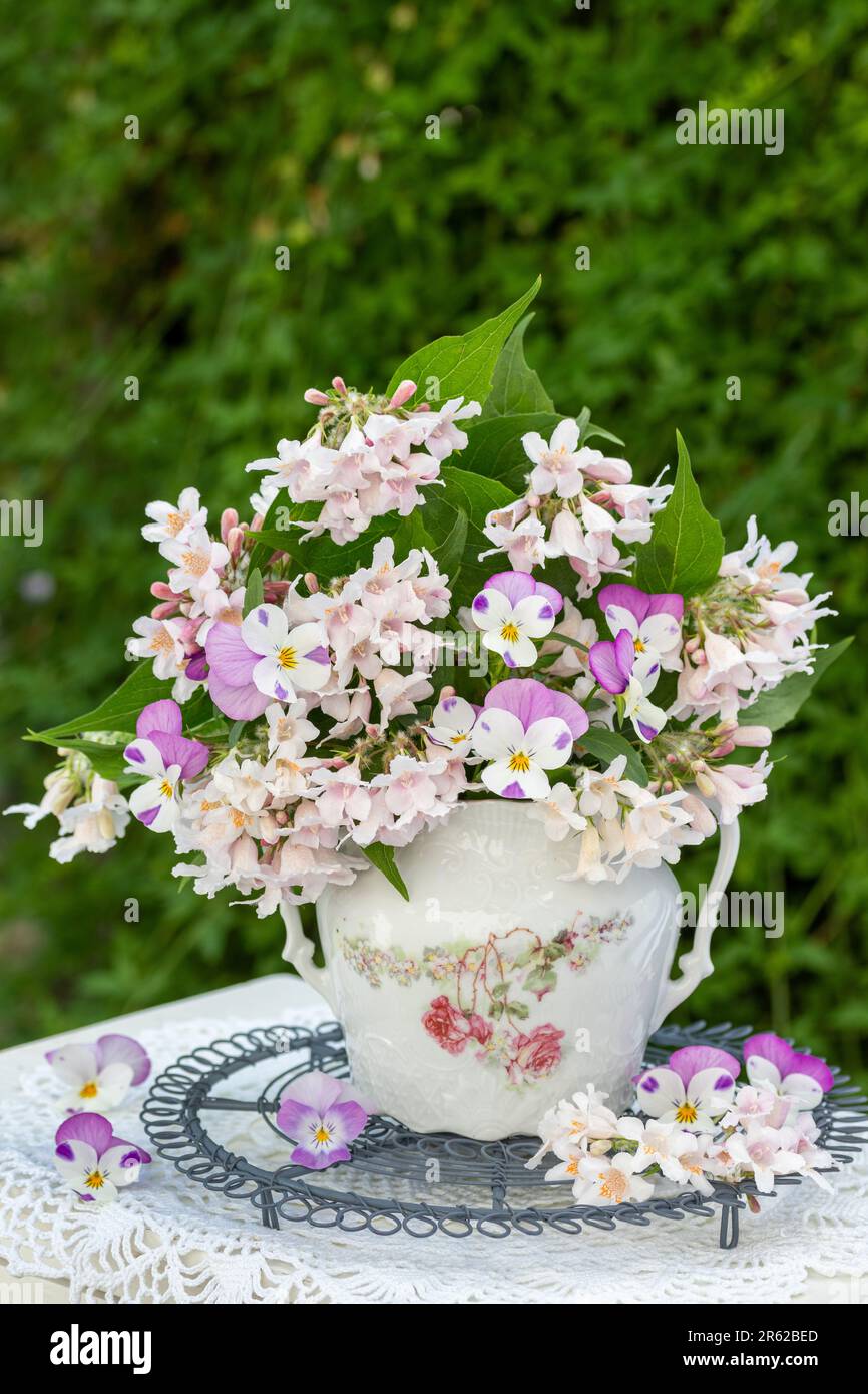 Ein Strauß rosa Violablüten und Weigela in einer altmodischen Zuckerschüssel Stockfoto