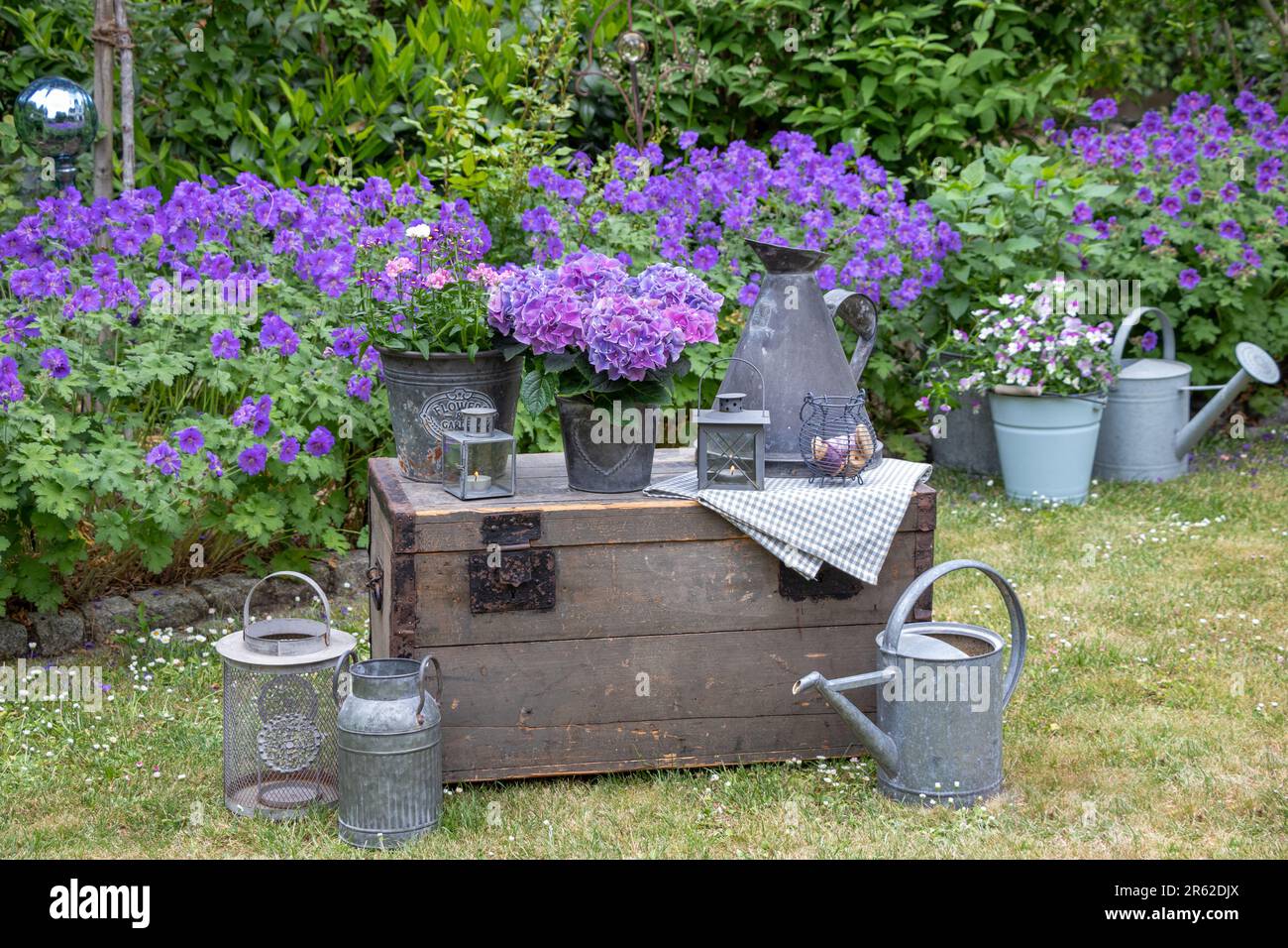 Altmodische Gartenanlage mit lila Hortensien in Zinktopf und Laternen Stockfoto