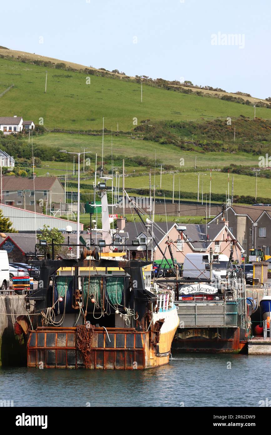 Boote und umliegende Gebäude in Dingle Harbour, Dingle, County Kerry, Irland Stockfoto