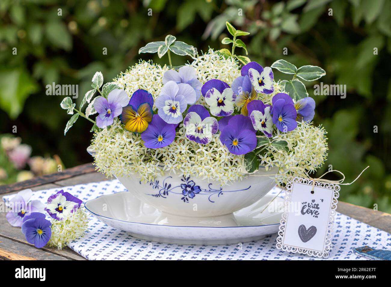 Ein Strauß aus blauen Violaflümchen und Blumen sibirischen Hundelholzes in einem Saucen-Boot Stockfoto