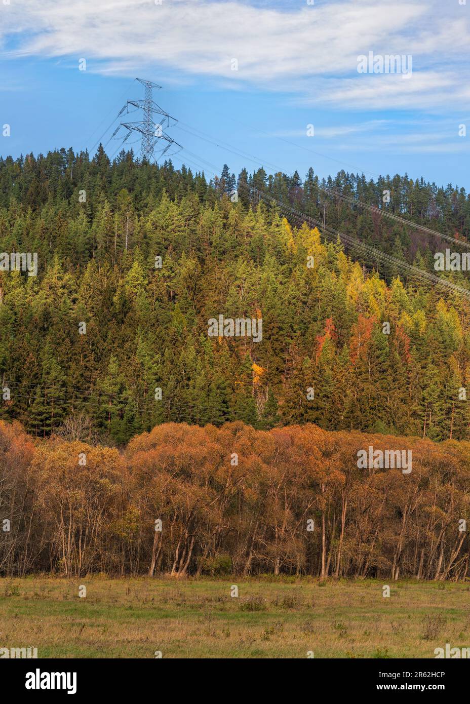 Großer metallischer Kraftpylon unter Stromleitungen, auf dem Land gebaut mit Herbstgras und waldbedeckten Hügeln, blauer Himmel Hintergrund Stockfoto