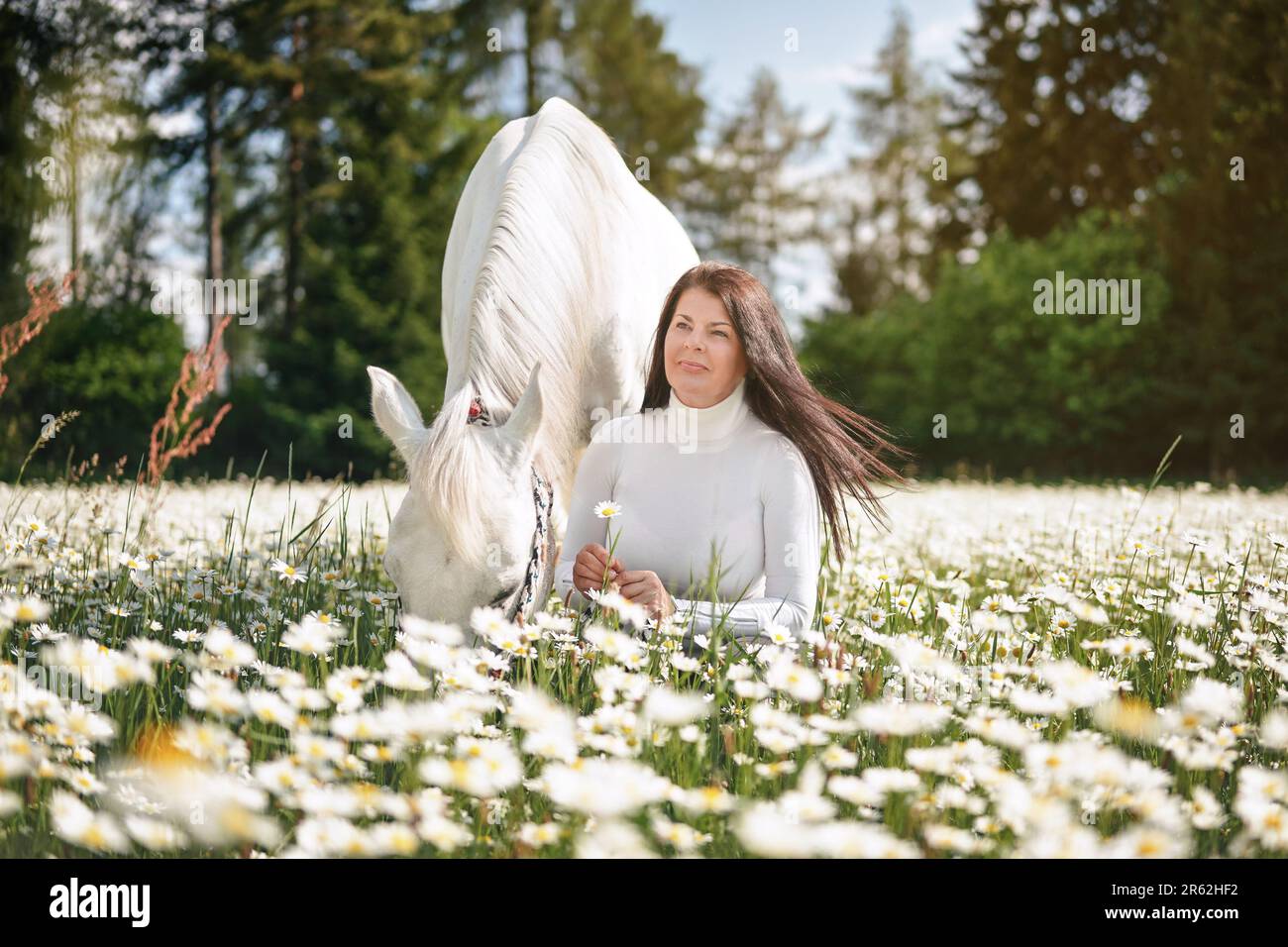 Eine Frau, die auf einer Frühlingswiese im Wald sitzt, voller Gänseblümchen, ein weißes arabisches Pferd neben ihr Stockfoto