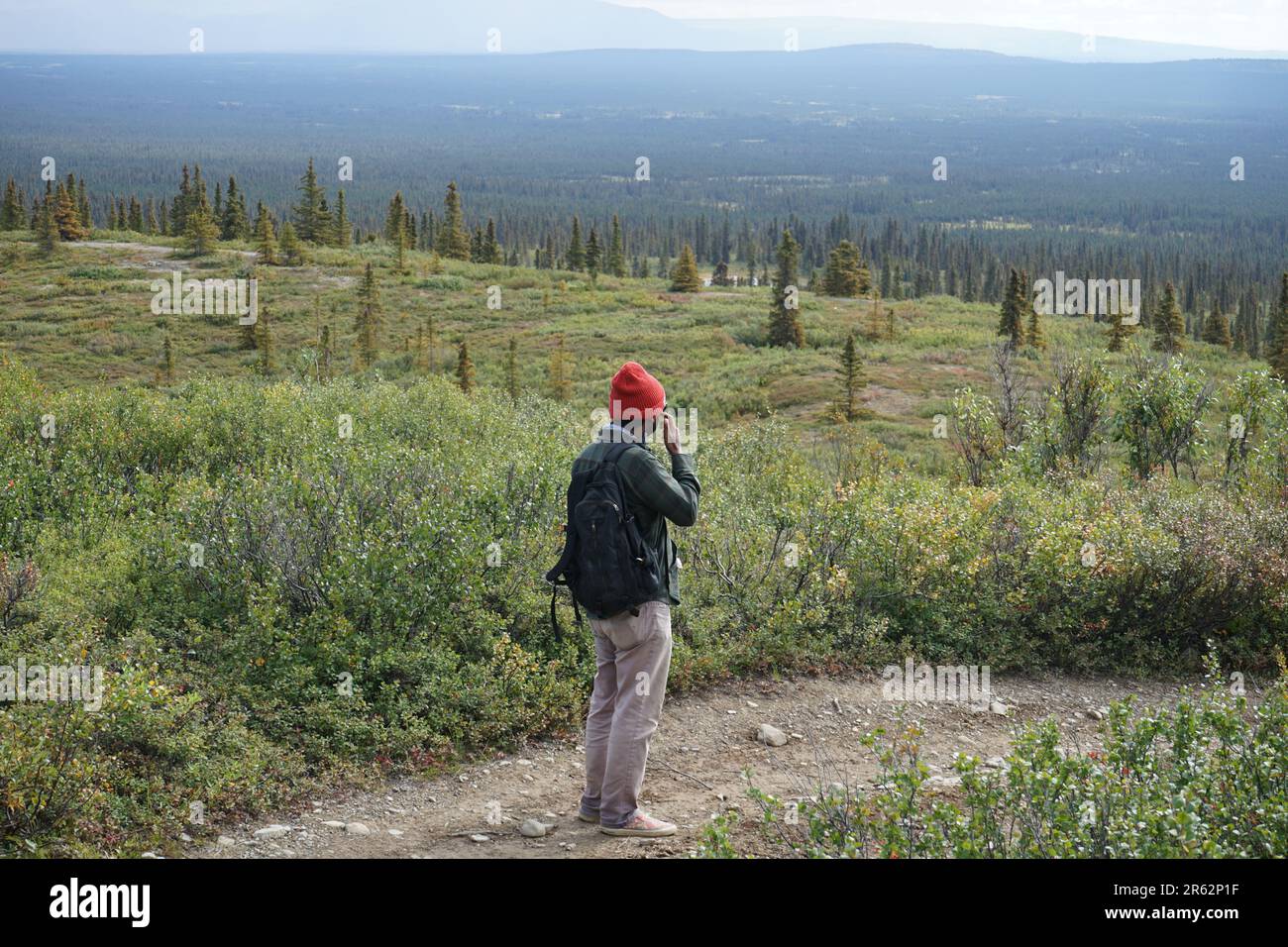 Ein Mann, der auf dem schmalen Pfad steht und die malerische Aussicht auf das riesige grüne Land und die ewigen Berge im fernen Hintergrund betrachtet. Denken ist der Weg. Stockfoto
