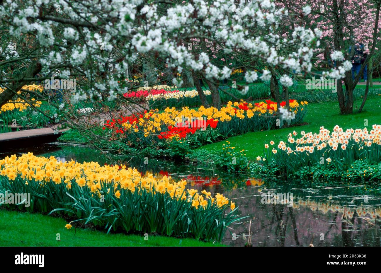 Keukenhof blumen Fotos und Bildmaterial in hoher Auflösung Alamy