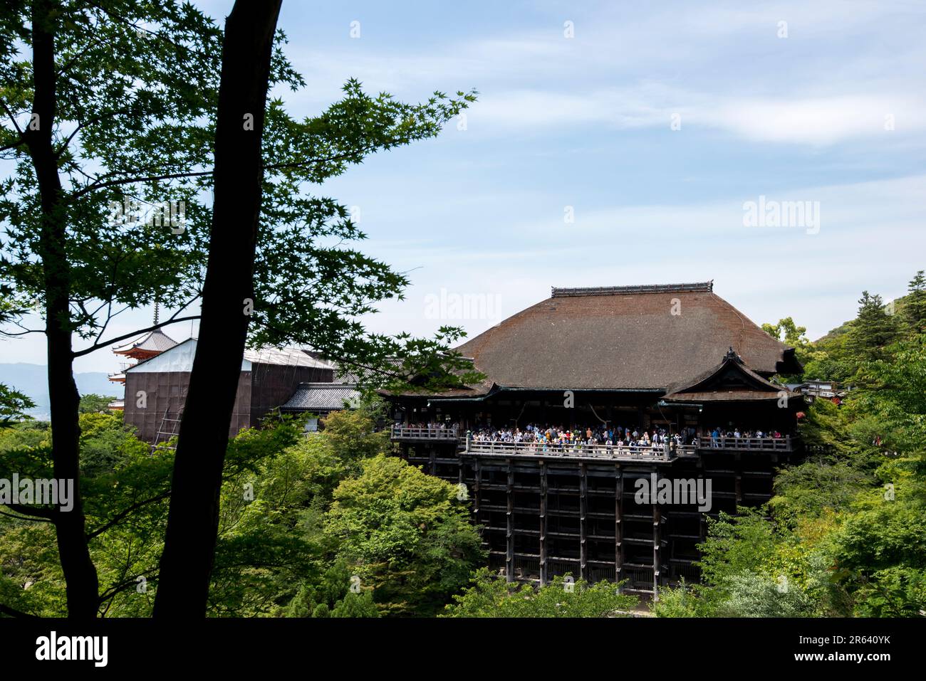 Kiyomizudera Haupthalle und Kiyomizu-no-butai (Stadium von Kiyomizu) in frischem Grün Stockfoto