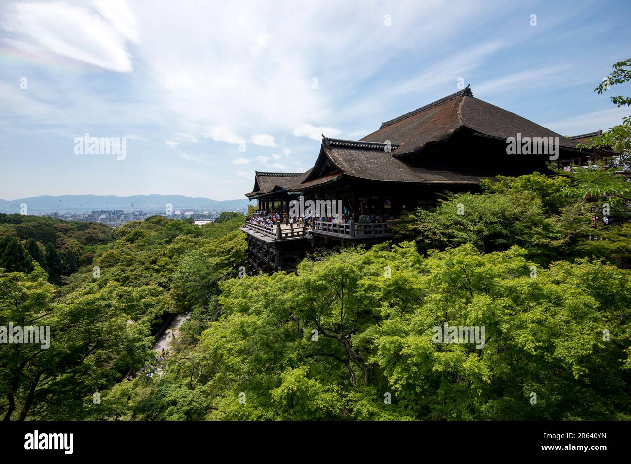 Kiyomizudera Haupthalle und Kiyomizu-no-butai (Stadium von Kiyomizu) in frischem Grün Stockfoto