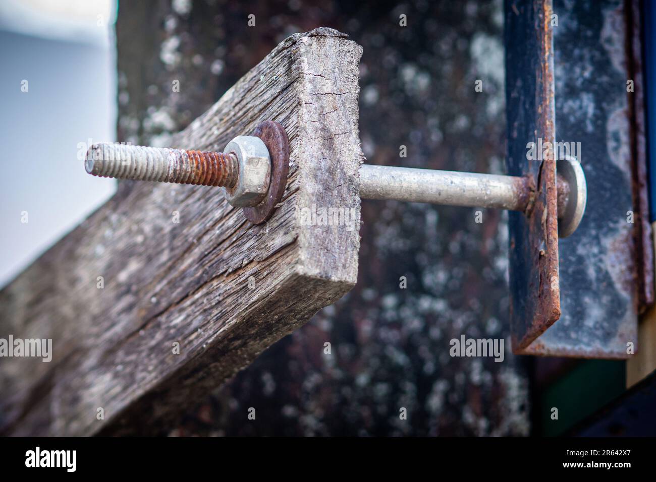 Rostig an Mutter, Schraube und Unterlegscheibe für die langfristige Befestigung an der alten Holzplatte. Stockfoto