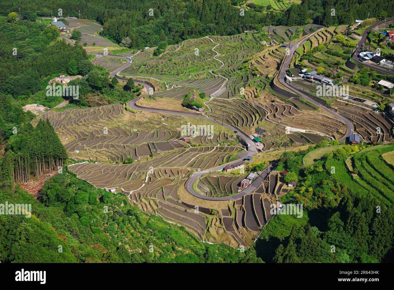 Reisterrasse Maruyama Stockfoto