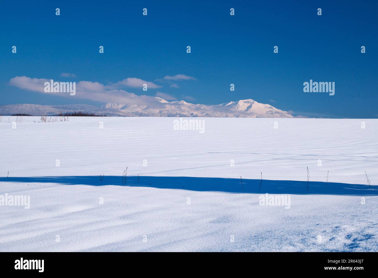 Mt. Taisetsu und Schneefeld Stockfoto