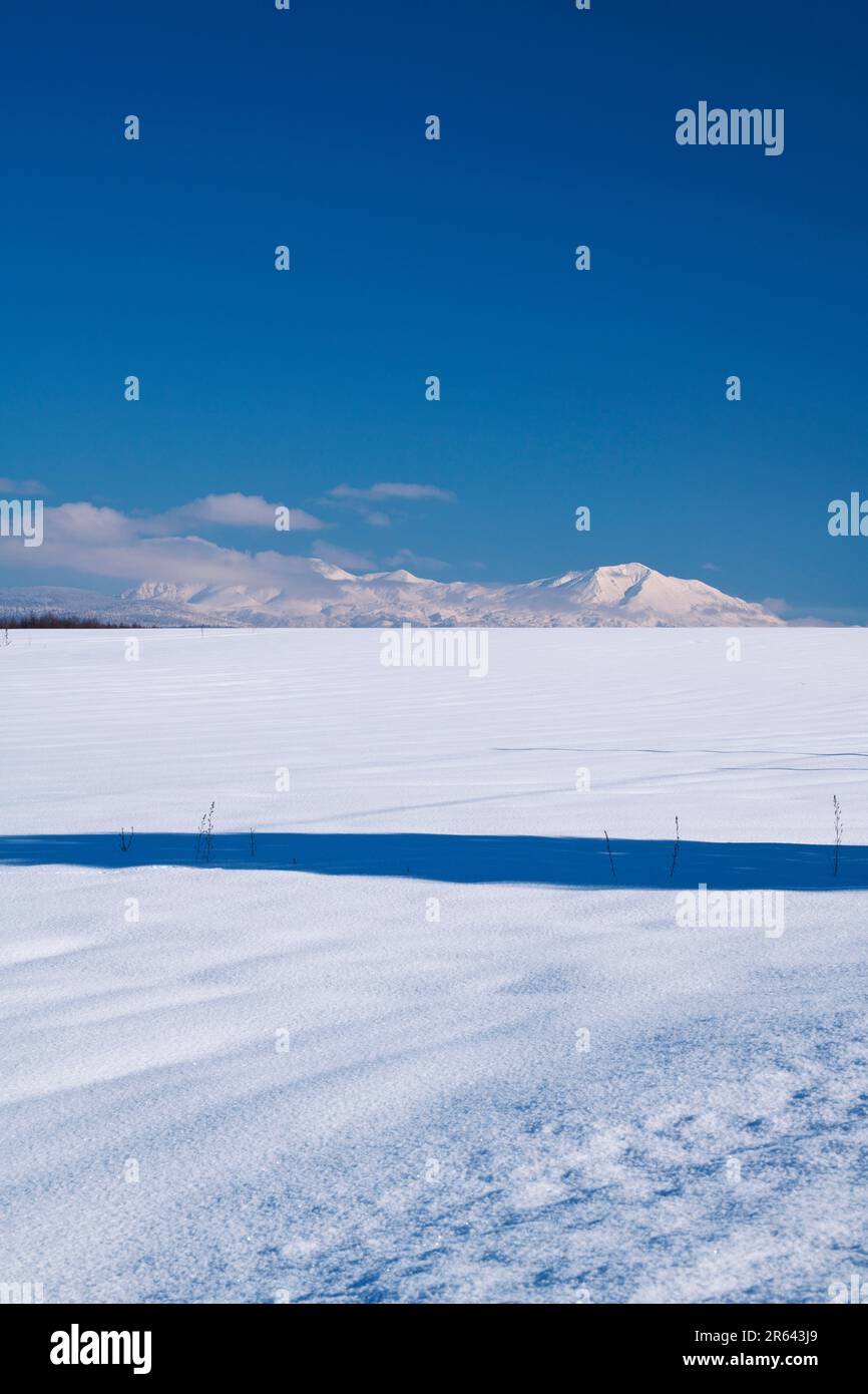 Mt. Taisetsu und Schneefeld Stockfoto