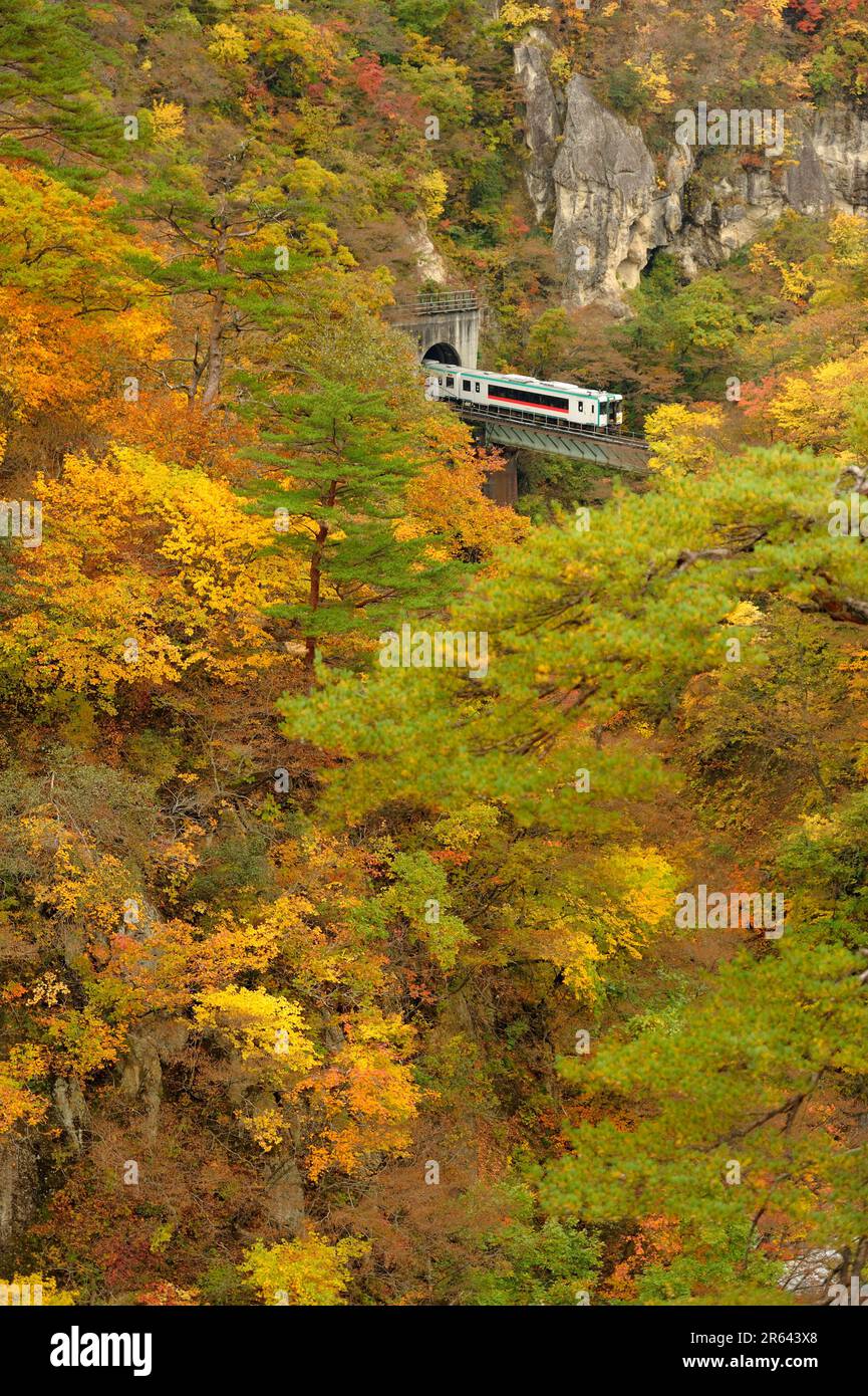 Naruko Gorge und Rikuu East Line in Herbstblättern Stockfoto