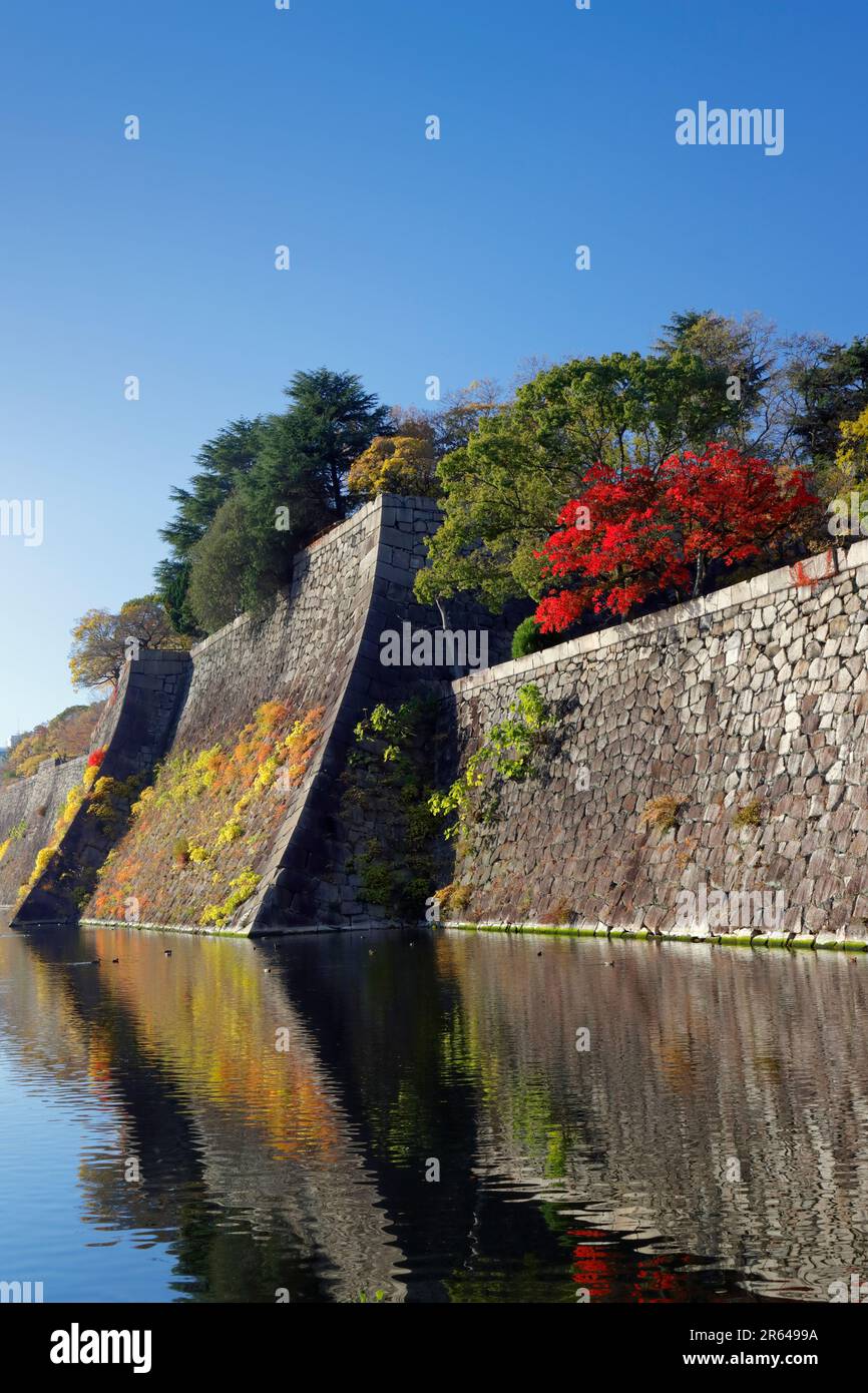 Herbstblätter und die Steinmauer von Schloss Osaka Stockfoto