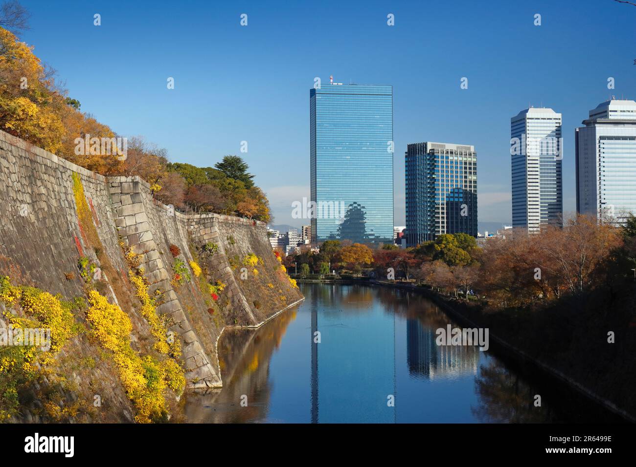 Herbstblätter und die Steinmauer von Schloss Osaka Stockfoto
