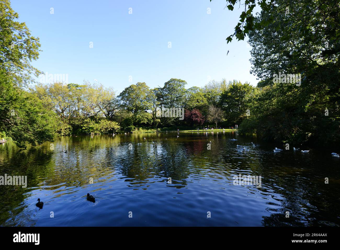 Ein sonniger Sommertag im St. Stephen's Green Park in Dublin, Irland. Stockfoto