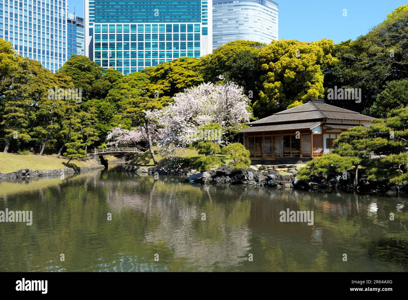 Hamarikyu Gardens im Frühling Stockfoto