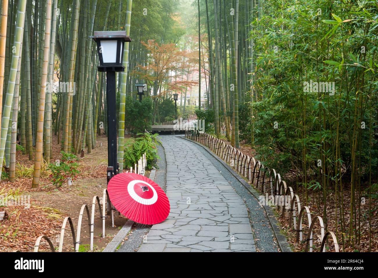 Kleiner Pfad mit Bambushain und japanischem Regenschirm Stockfoto