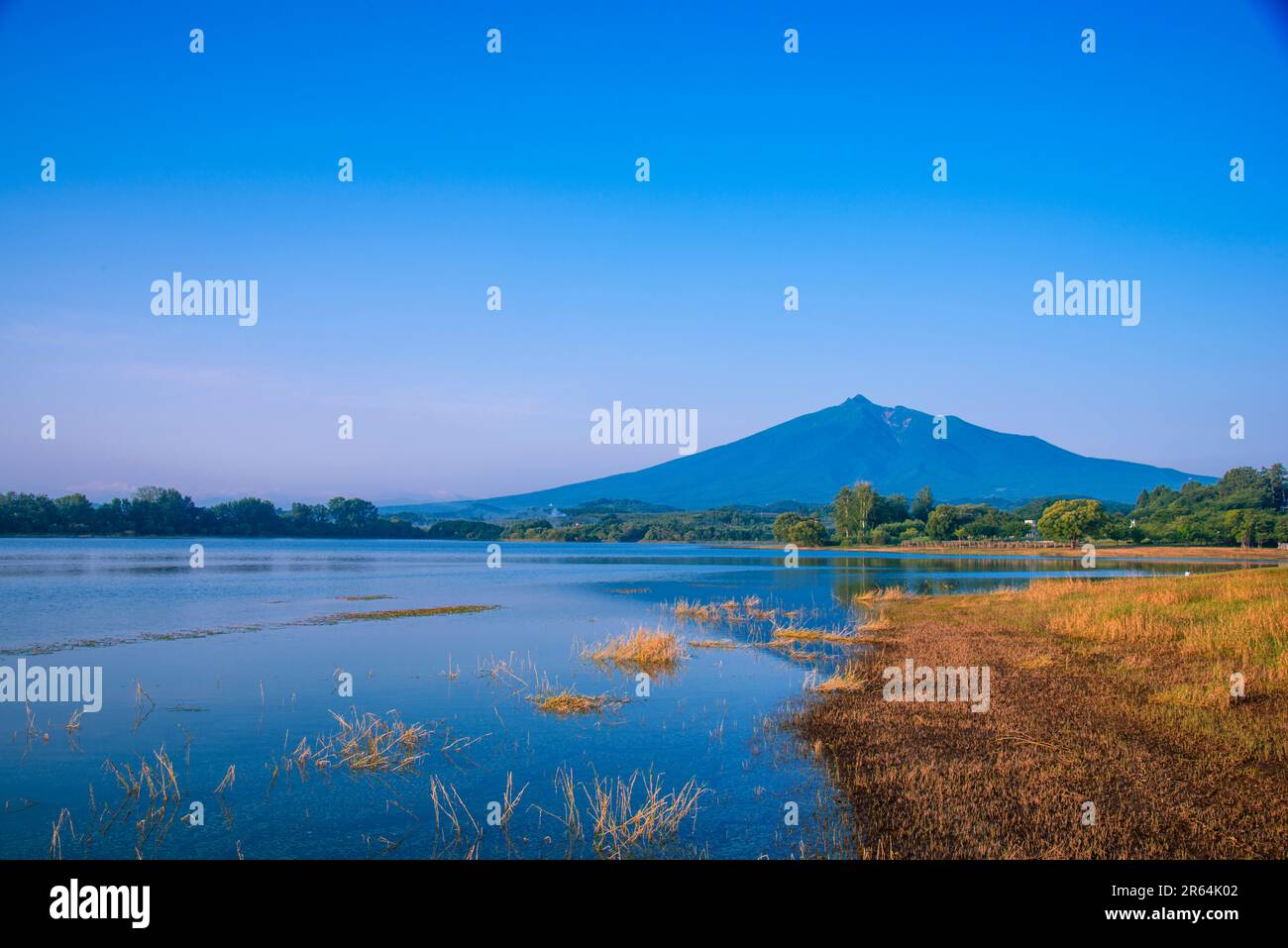 Tsugaru-See Fujimiko und Mt. Iwaki Stockfoto