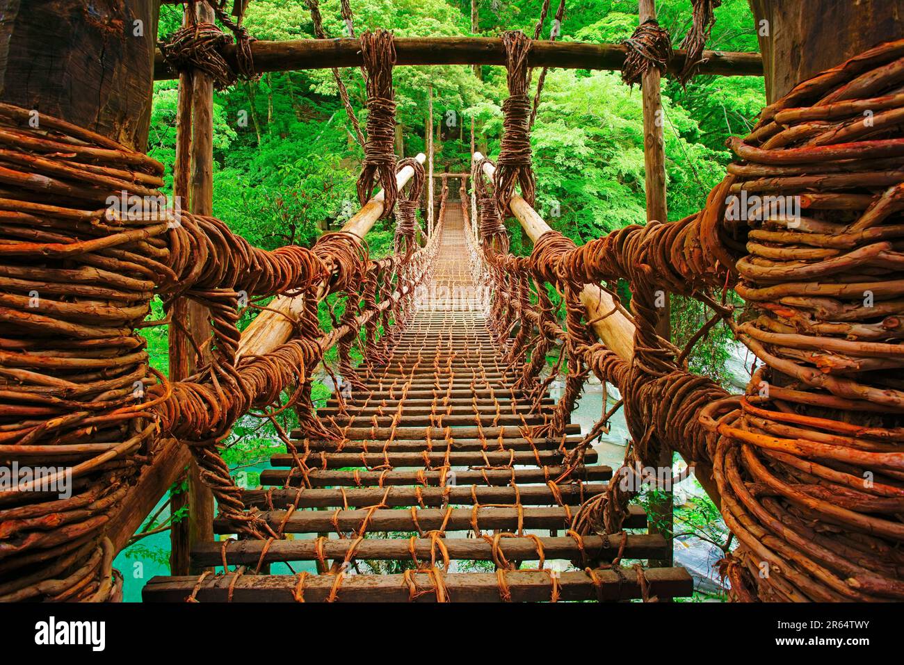 Kazura-Brücke in Iya am Morgen Stockfoto