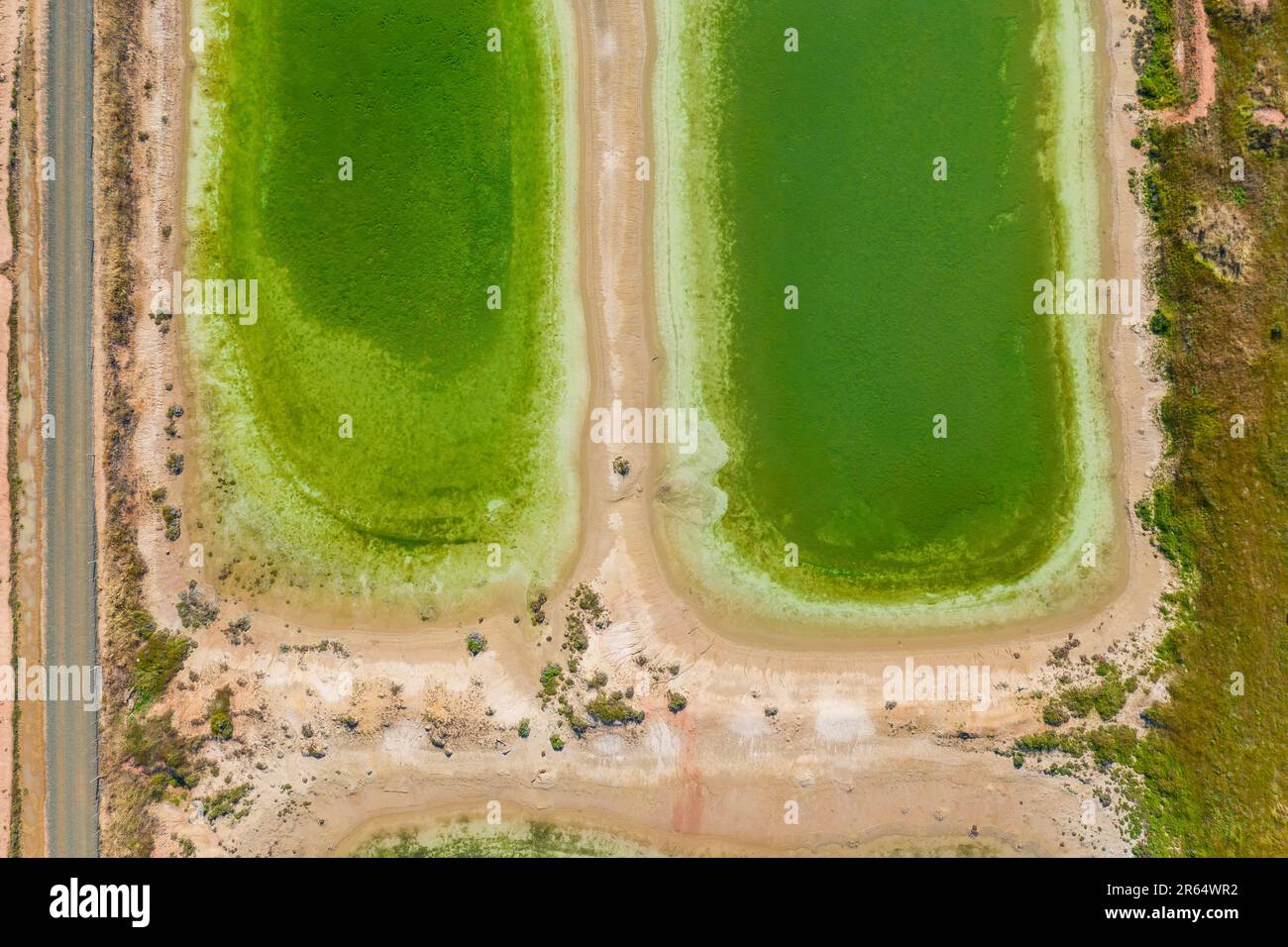 Blick aus der Vogelperspektive auf leuchtend grüne Setzteiche und Deichanlage in Waranga, Victoria, Australien Stockfoto