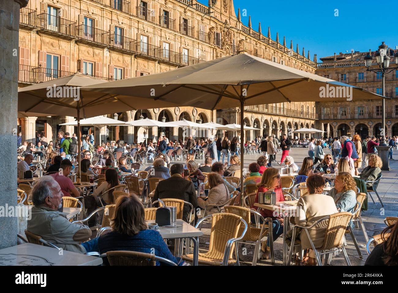 Touristen aus Europa, im Sommer können Sie die Leute beobachten, die sich an den Kaffeetischen auf der Plaza Mayor in der historischen Barockstadt Salamanca, Spanien, entspannen Stockfoto
