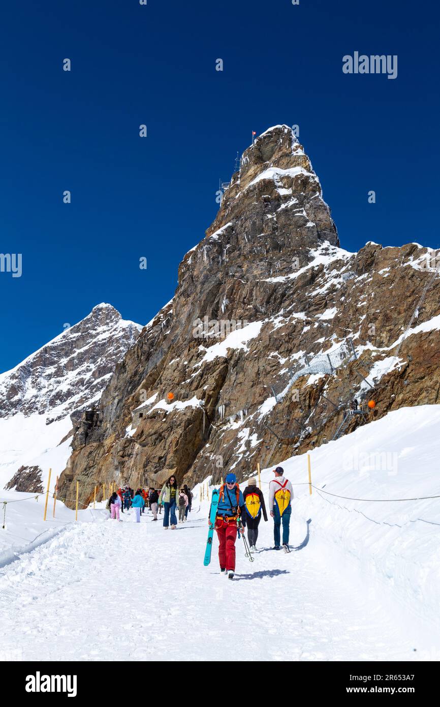 Jungfrau Gipfel und Wanderer auf dem Wanderweg Richtung Mönchsjoch Hut, Schweizer Alpen, Schweiz Stockfoto