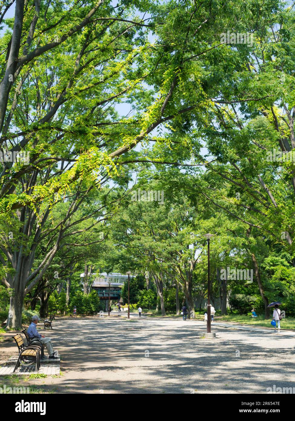 Inokashira Park Stockfoto
