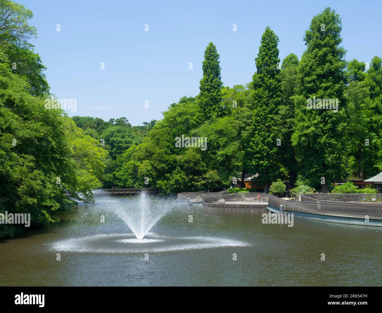 Inokashira Park Stockfoto