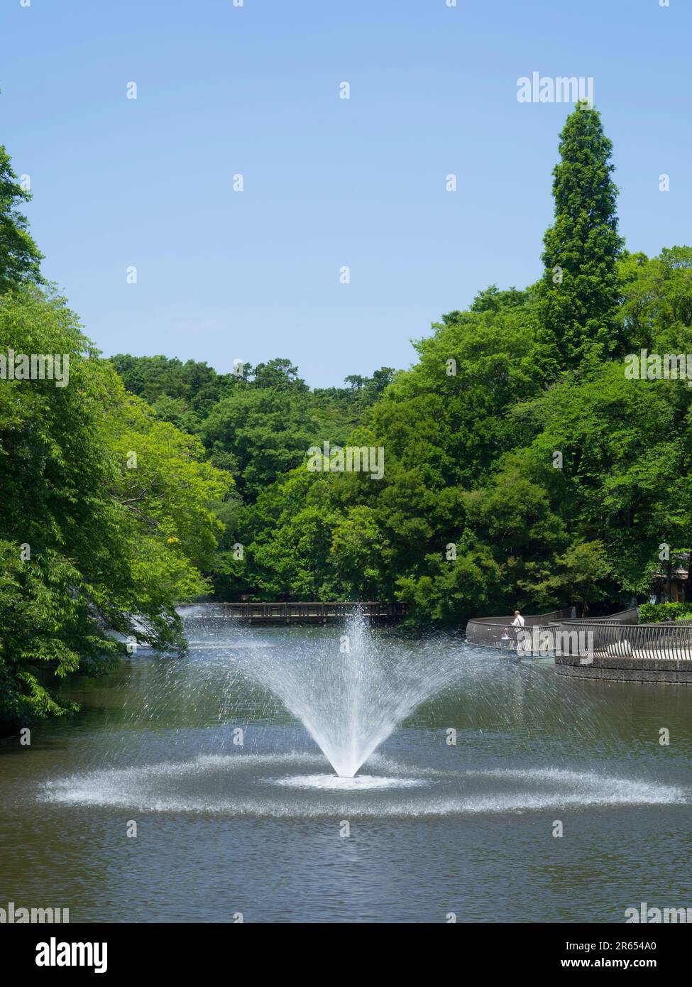 Inokashira Park Stockfoto