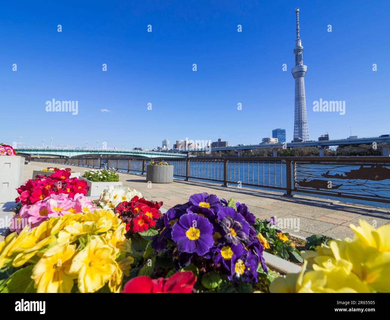 Tokyo Sky Tree und Sumida Park Stockfoto