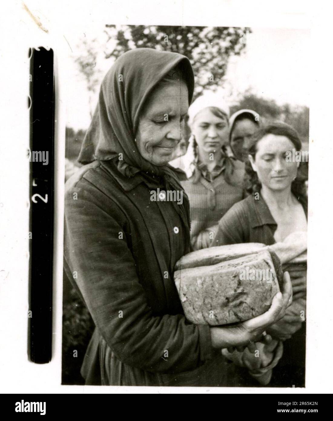 SS-Fotograf Baumann, Totenkopf Division, Russland 1941 Aufklärungseinheit von Wheeled, Fotos von Motorrädern, Flak-Gewehren, Gräbern, russischen Kriegsgefangenen und Dorfbewohnern, Fieseler FI 156 Storch, zerstörte russische Panzer und Ausrüstung, Brückenbau, im Fluss schwimmende Soldaten, Maschinengewehrmannschaft, Panzerabwehrmannschaft, Zeremonie der Unit Awards, Einheiten auf dem marsch, Artillerie von Halbschienen gezogen, Kfz-Wartungseinheit, Kriegsberichter-Aktivitäten, Feldbäckerei, Feldlazarett, Luftversorgung durch JU-52, Flugabwehrsucheinheit, Postamt und ein Focke-Wulf 189 (Eagle-Owl) im Flug. Ima Stockfoto