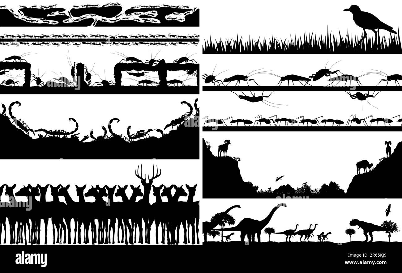 Satz bearbeitbarer VektorVorderbilder von Tierszenen mit allen einzelnen Tieren als separaten Objekten Stock Vektor