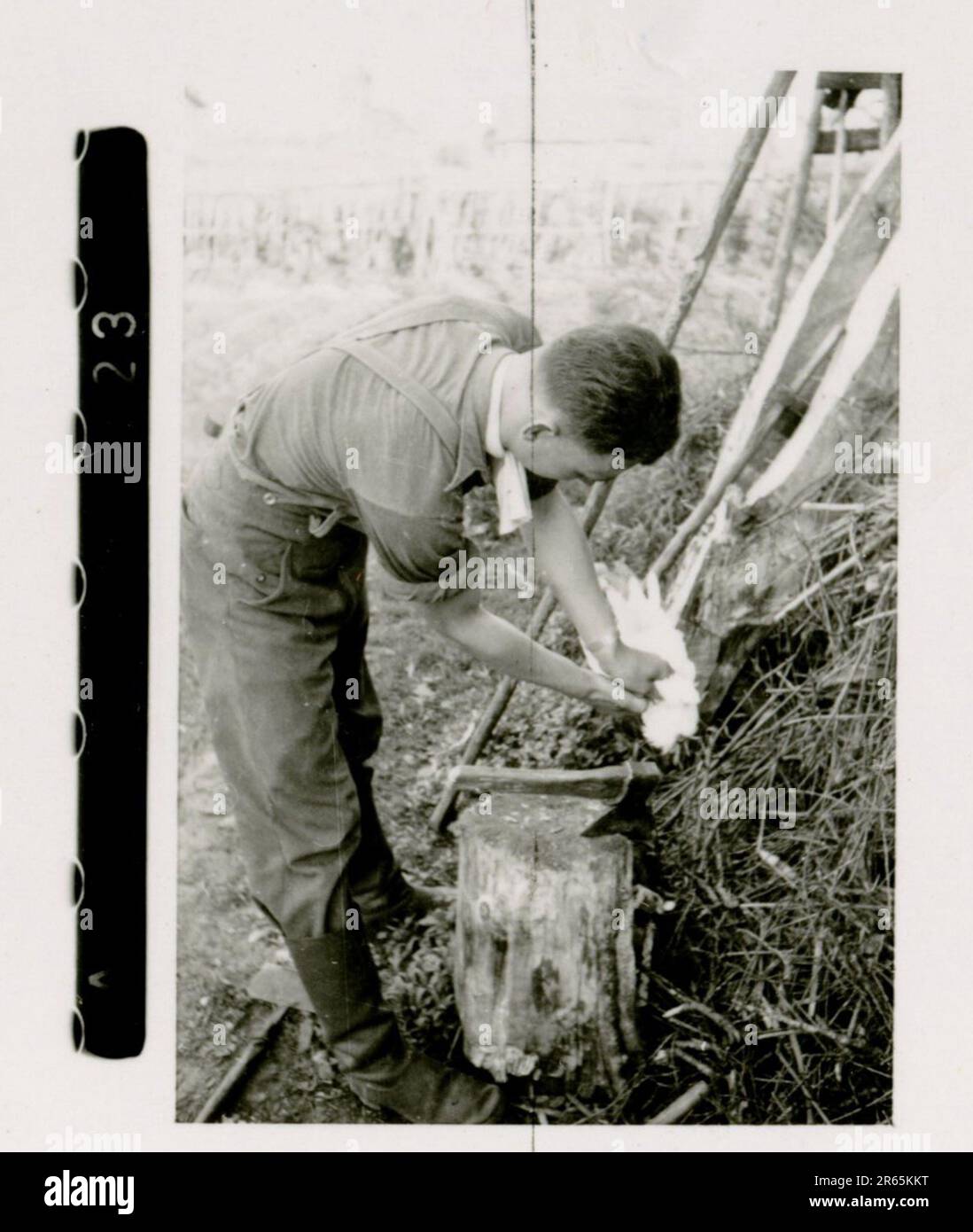 SS-Fotograf Baumann, Totenkopf Division, Russland 1941 Aufklärungseinheit von Wheeled, Fotos von Motorrädern, Flak-Gewehren, Gräbern, russischen Kriegsgefangenen und Dorfbewohnern, Fieseler FI 156 Storch, zerstörte russische Panzer und Ausrüstung, Brückenbau, im Fluss schwimmende Soldaten, Maschinengewehrmannschaft, Panzerabwehrmannschaft, Zeremonie der Unit Awards, Einheiten auf dem marsch, Artillerie von Halbschienen gezogen, Kfz-Wartungseinheit, Kriegsberichter-Aktivitäten, Feldbäckerei, Feldlazarett, Luftversorgung durch JU-52, Flugabwehrsucheinheit, Postamt und ein Focke-Wulf 189 (Eagle-Owl) im Flug. Ima Stockfoto