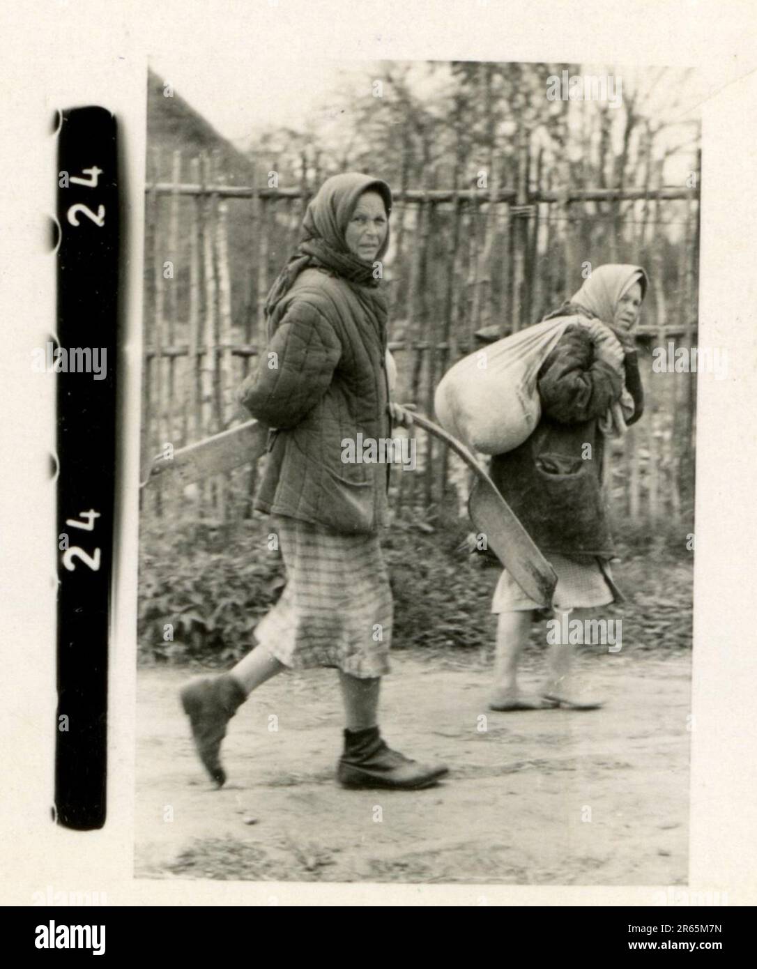 SS-Fotograf Baumann, Totenkopf Division, Russland 1941 Aufklärungseinheit von Wheeled, Fotos von Motorrädern, Flak-Gewehren, Gräbern, russischen Kriegsgefangenen und Dorfbewohnern, Fieseler FI 156 Storch, zerstörte russische Panzer und Ausrüstung, Brückenbau, im Fluss schwimmende Soldaten, Maschinengewehrmannschaft, Panzerabwehrmannschaft, Zeremonie der Unit Awards, Einheiten auf dem marsch, Artillerie von Halbschienen gezogen, Kfz-Wartungseinheit, Kriegsberichter-Aktivitäten, Feldbäckerei, Feldlazarett, Luftversorgung durch JU-52, Flugabwehrsucheinheit, Postamt und ein Focke-Wulf 189 (Eagle-Owl) im Flug. Ima Stockfoto