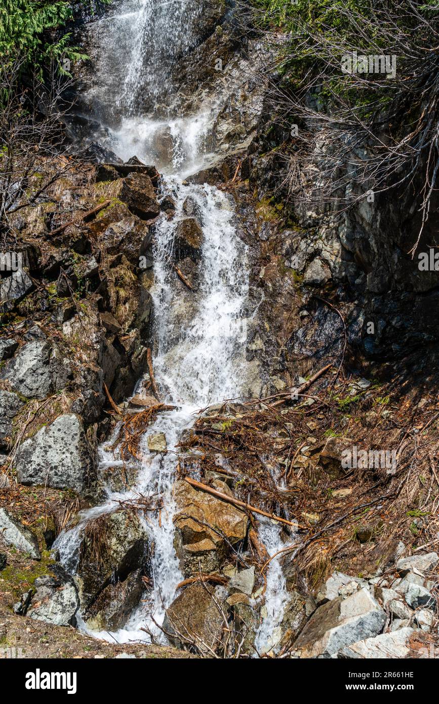 Blick auf einen Wasserfall am Highway 410 im Bundesstaat Washington. Stockfoto