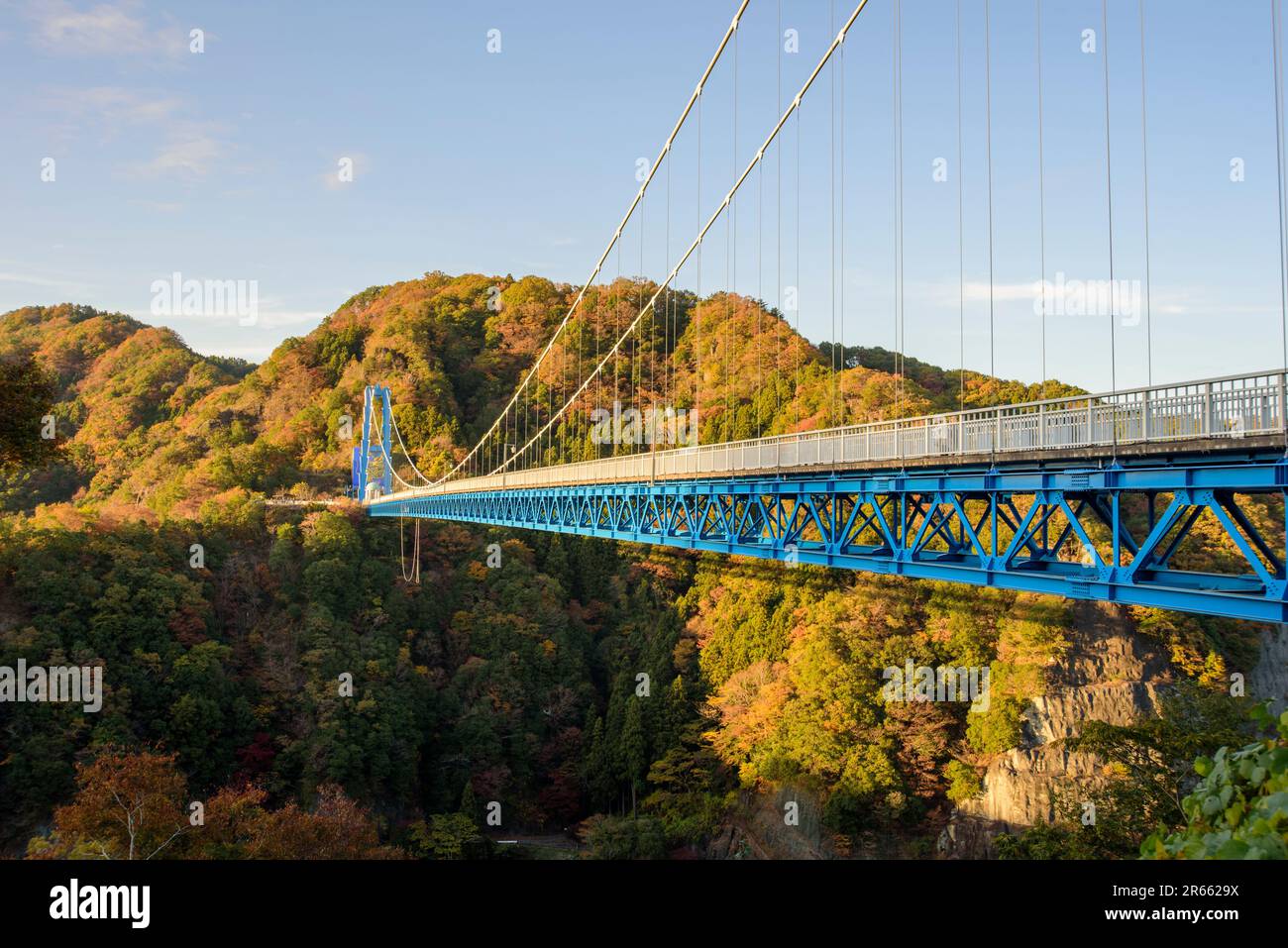 Herbstblätter der Ryujin Hängebrücke Stockfoto