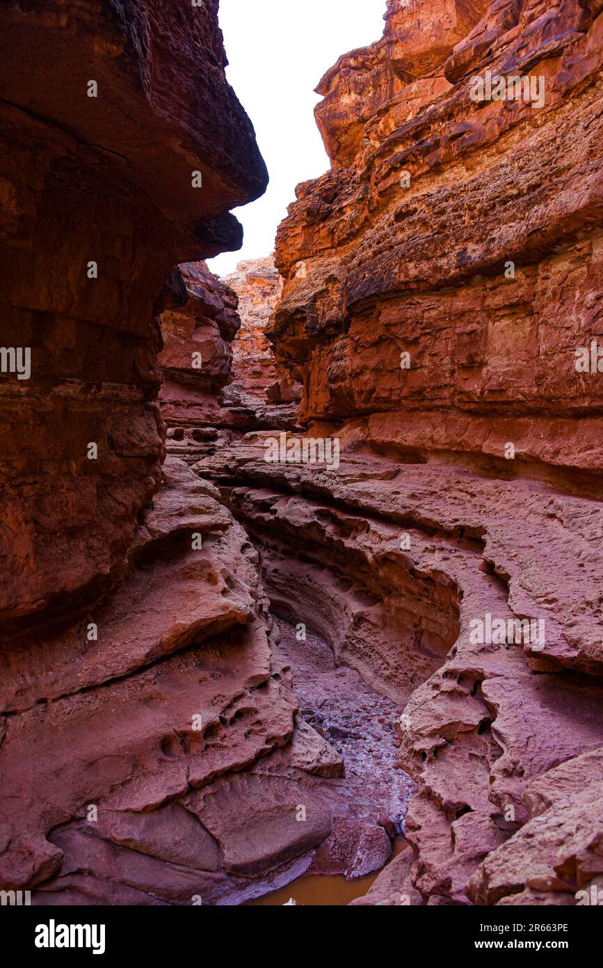 Einige der coolen und strukturierten Slot Canyons auf der Cathedral Wash Trail Wanderung Stockfoto