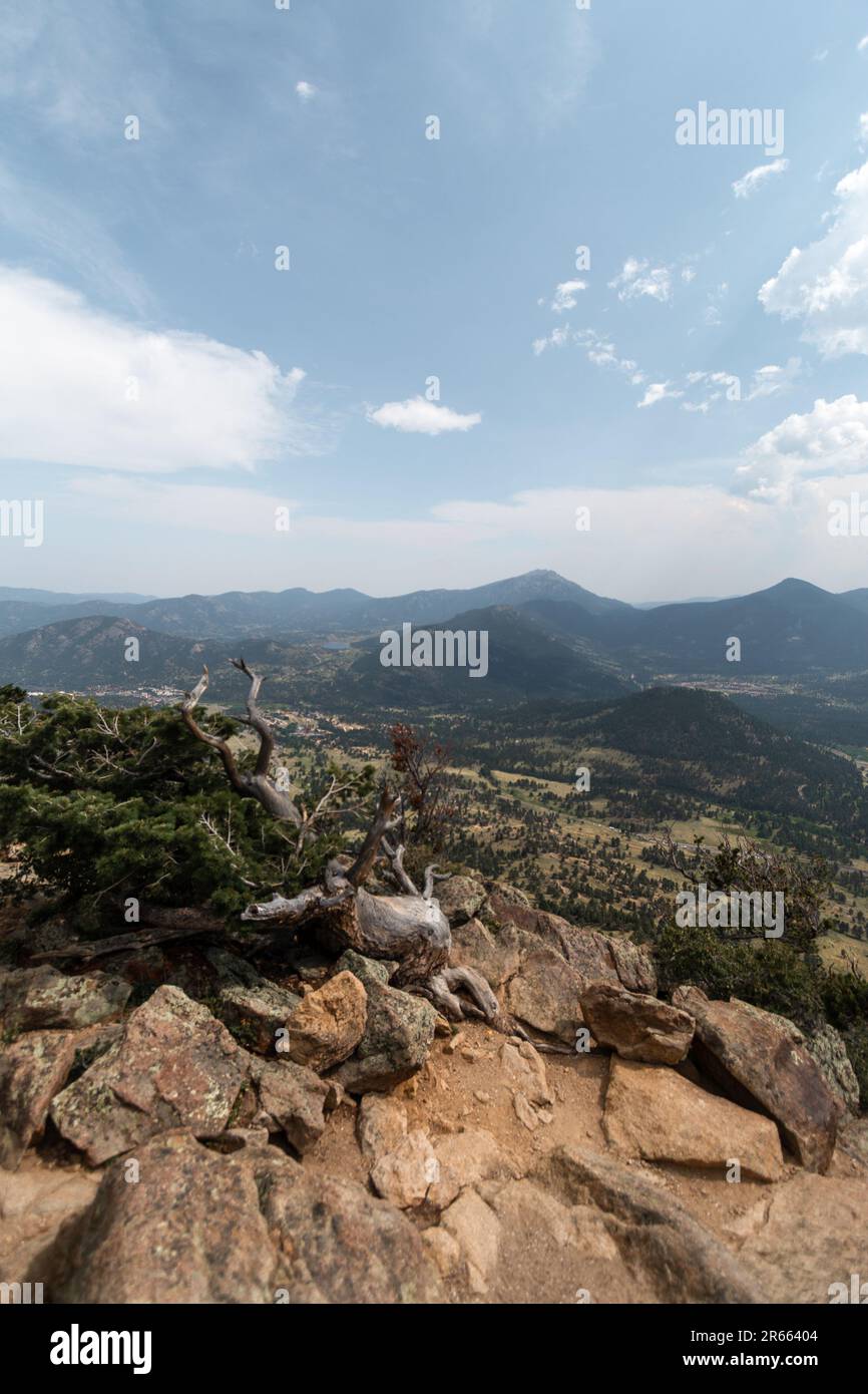 Blick auf die umliegenden Berge im Rocky Mountain National Park von Deer Mountain, Estes Park, Colorado Stockfoto