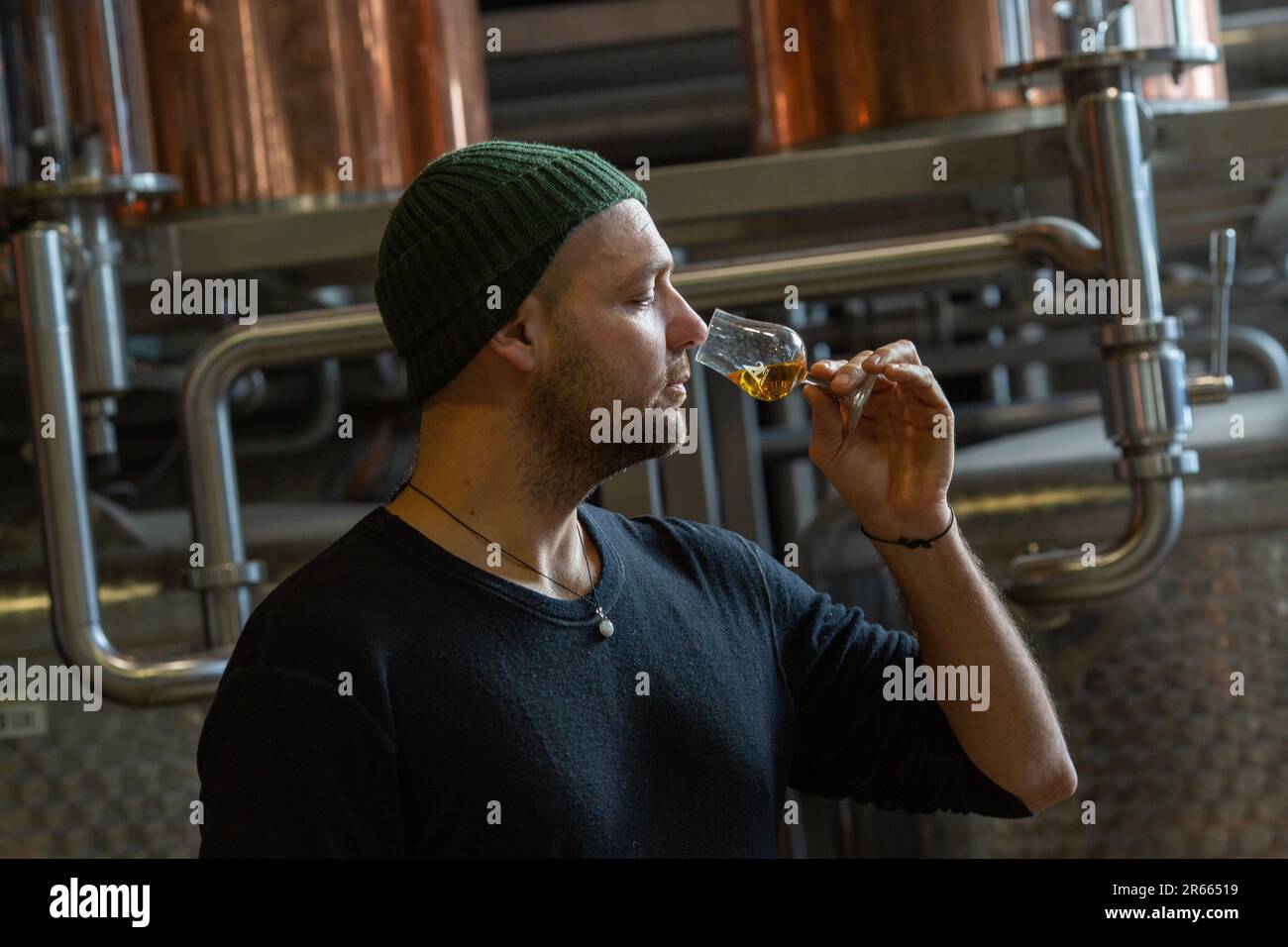 Probieren Sie einen Whisky in der Destillerie Arbikie Stockfoto