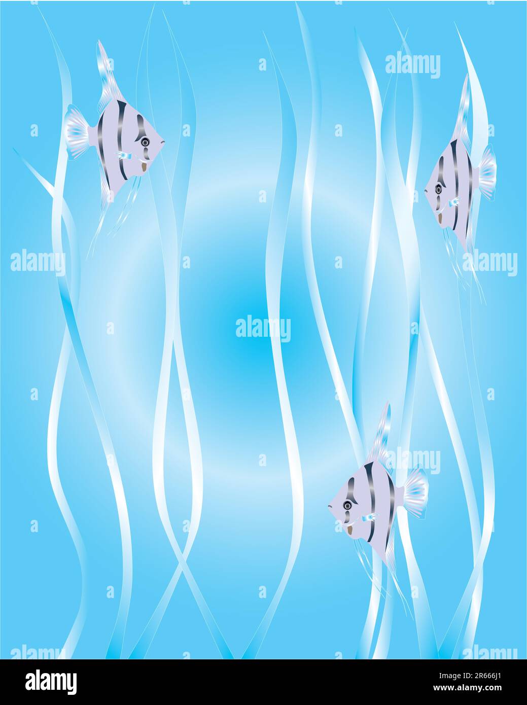 Drei tropische kleine Fische unter Meeresalgen in blauem Wasser. Stock Vektor