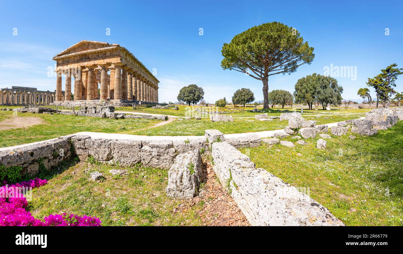 Der Tempel von Neptun, Paestum, Italien, der einige der am besten erhaltenen antiken griechischen Tempel der Welt enthält. Stockfoto