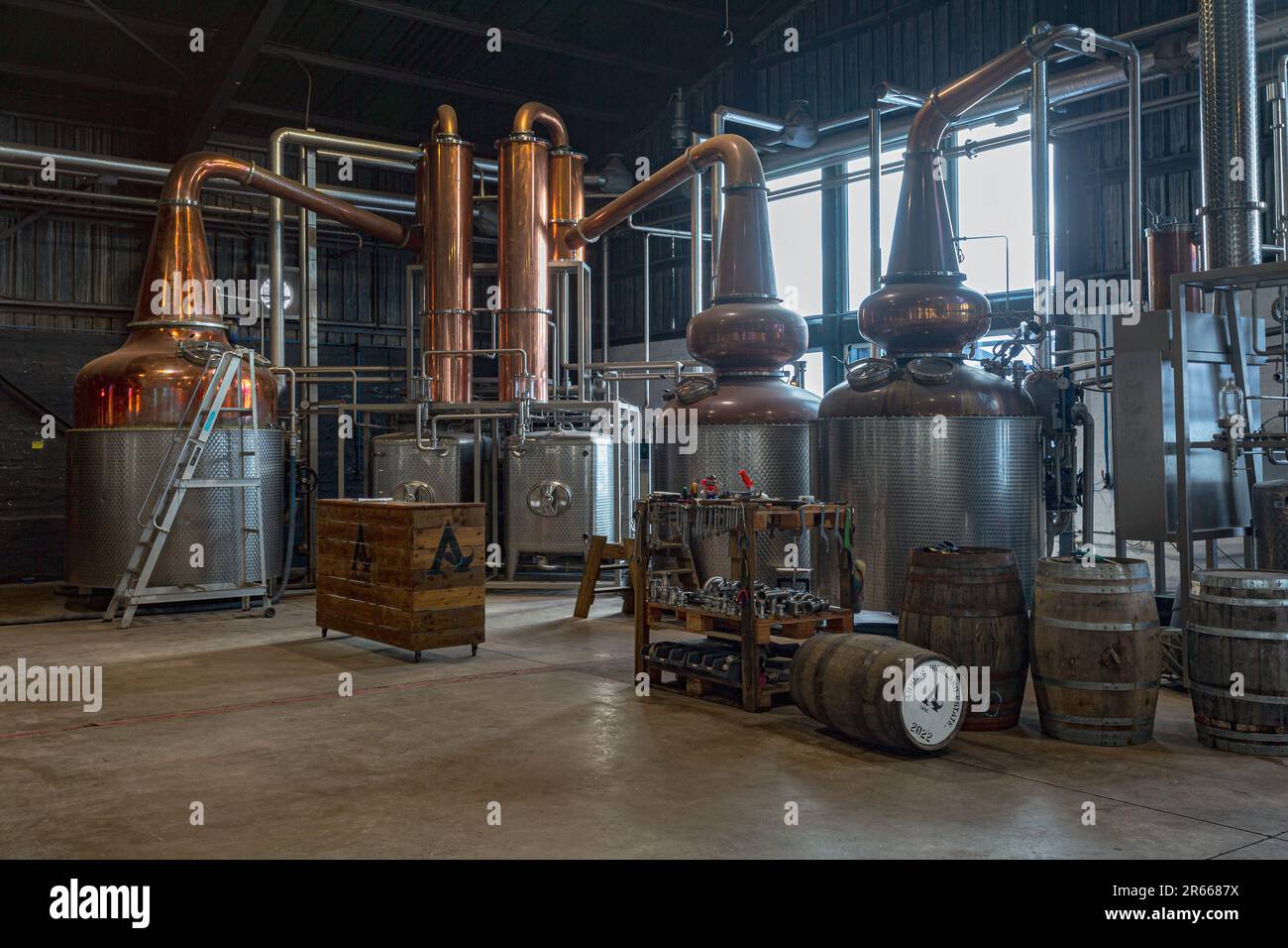Arbikie Highland Estate Distillery, Highlands, Montrose, Schottland Stockfoto