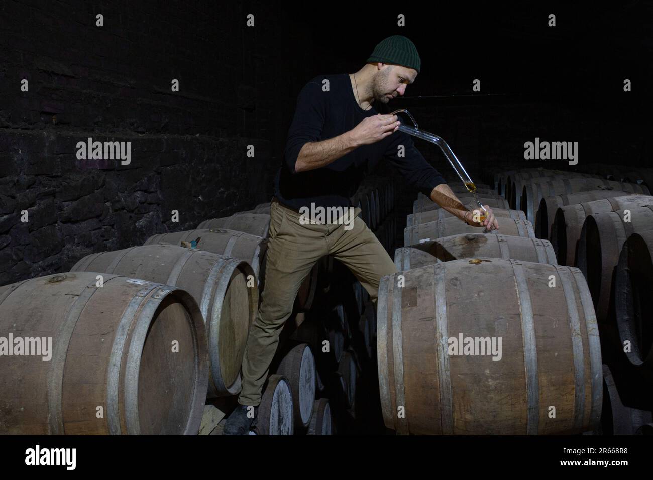 Entnahme einer Probe von schottischem Whisky aus einem Eichenfass mit einer langen Pipette zur Probenahme in der Arbikie Destillerie, Highlands, Schottland. Stockfoto