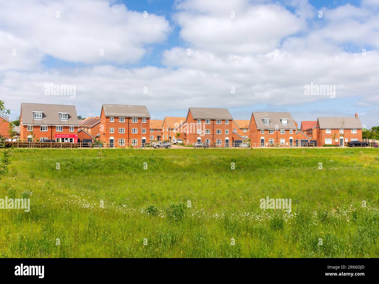 Wolsey Grange Wohnungsbau, Poplar Lane, Ipswich, Suffolk, England, Vereinigtes Königreich Stockfoto